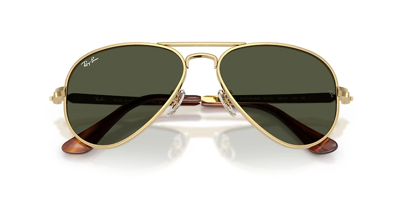 RB3925 Aviator Max