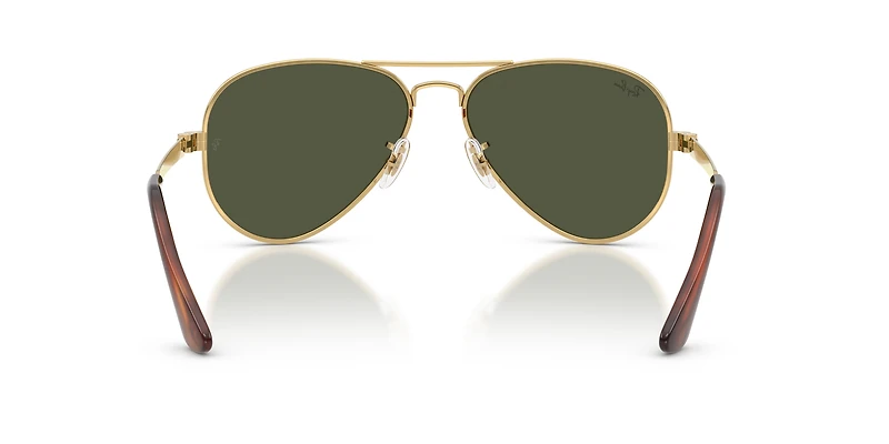 RB3925 Aviator Max