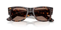 RB0840S Mega Wayfarer Summer Capsule