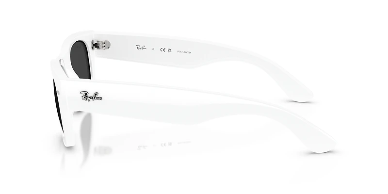 RB0832S Mega Wayfarer II