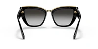DG6144