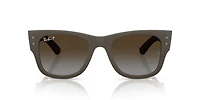 RB4840S Mega Wayfarer Liteforce