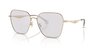 HC7168 CW189