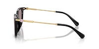 SK6054D