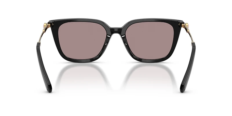 SK6054D