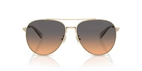 HC7169 CW193