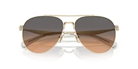 HC7169 CW193