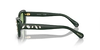 SK6008