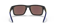 OO9102 Los Angeles Rams Holbrook™