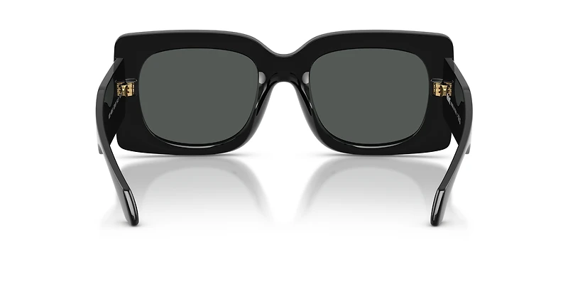 VE4496U