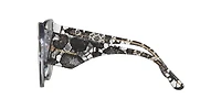 DG4321F