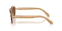 AR8244