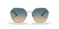 HC7132 C7998