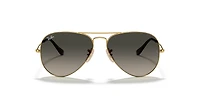 RB3025 Aviator Havana Collection