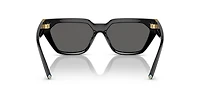 TF4205U