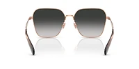 HC7168 CW189
