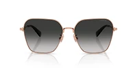 HC7168 CW189