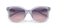 HC8419U CAD25