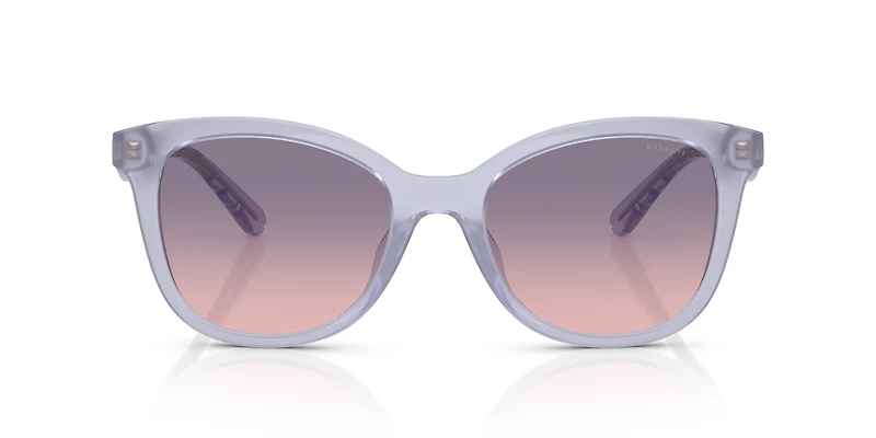HC8419U CAD25