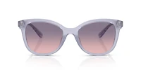 HC8419U CAD25
