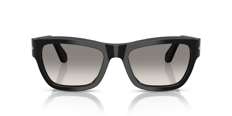 PO0091S