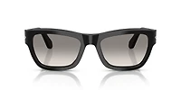 PO0091S