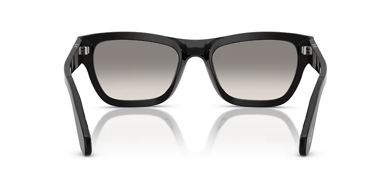 PO0091S