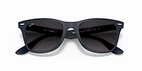 RB4195 Wayfarer Liteforce
