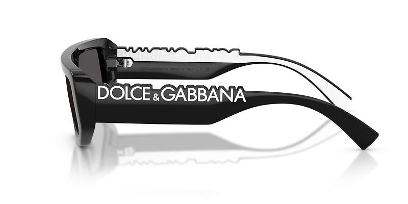 DG6203