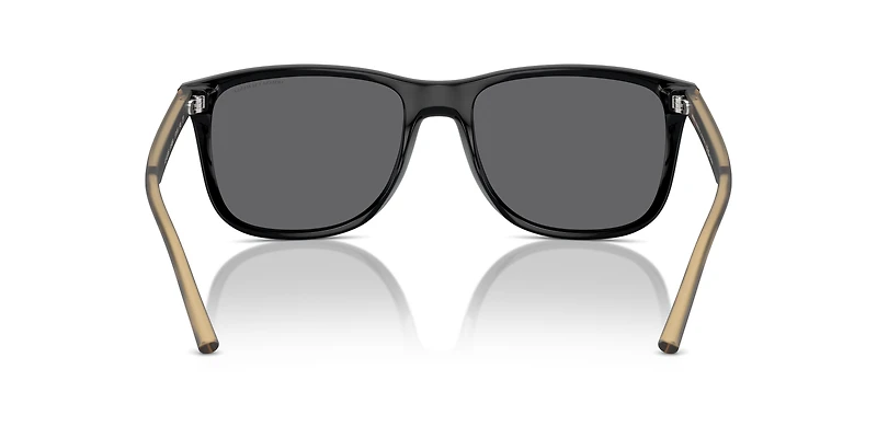 AX4070S