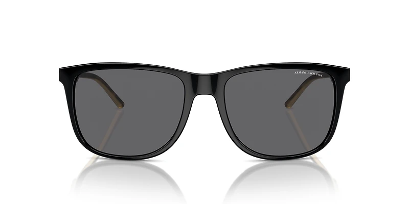 AX4070S