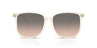 HC8413BD CW419