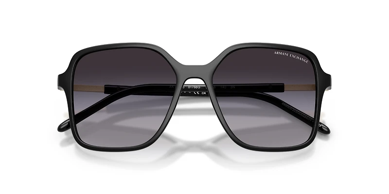 AX4163S