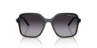 AX4163S