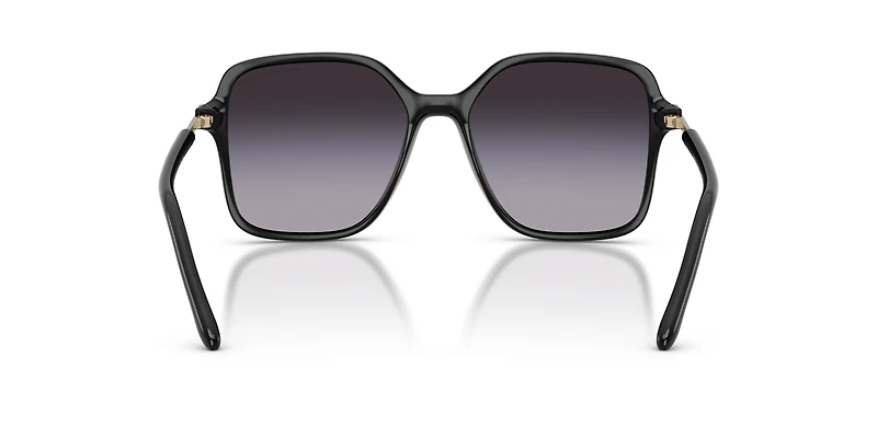 AX4163S