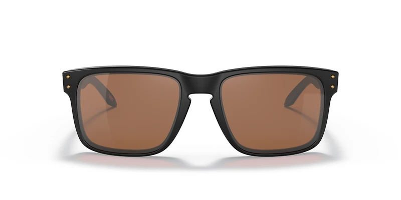 OO9102 San Francisco 49ers Holbrook™