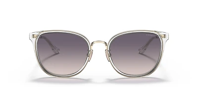 HC7135 C7999
