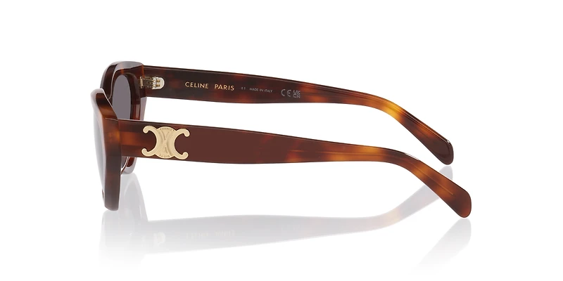 Celine Triomphe CL40323U