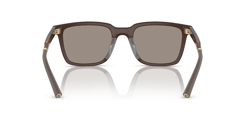 OV5553SU Mr. Federer