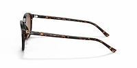 RB2193 Leonard