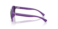 PP9509U