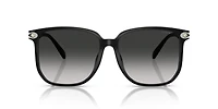 HC8413BD CW419