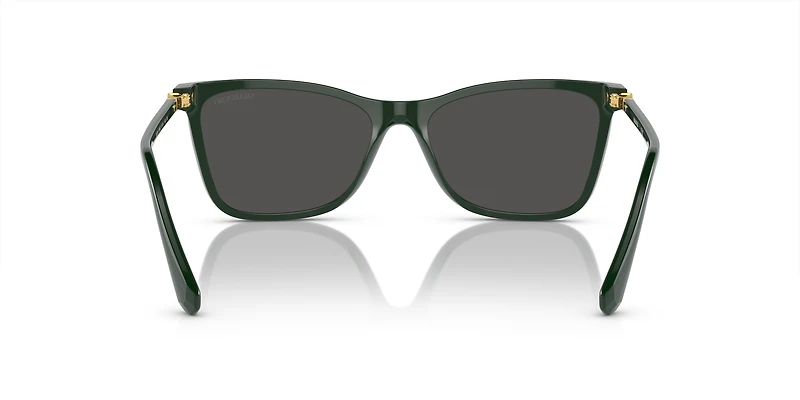 SK6004