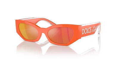 DX6003