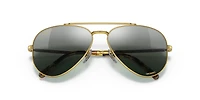 RB3625 New Aviator