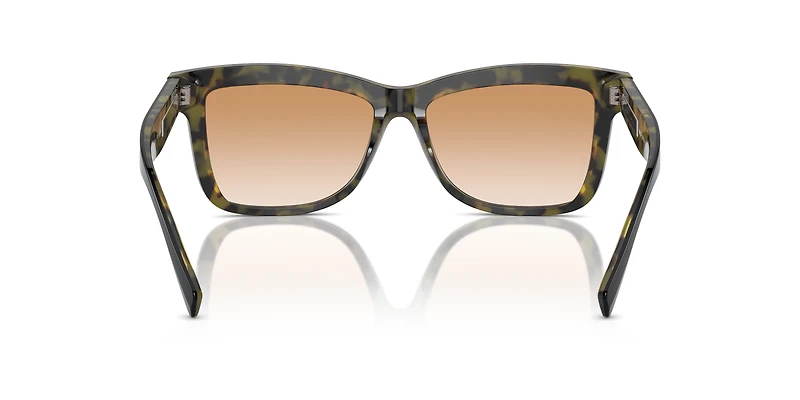 BC4009S