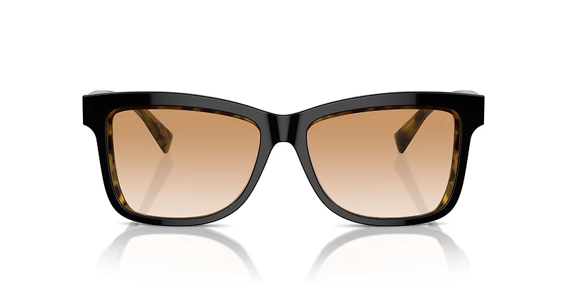 BC4009S