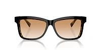 BC4009S