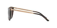 RL8160