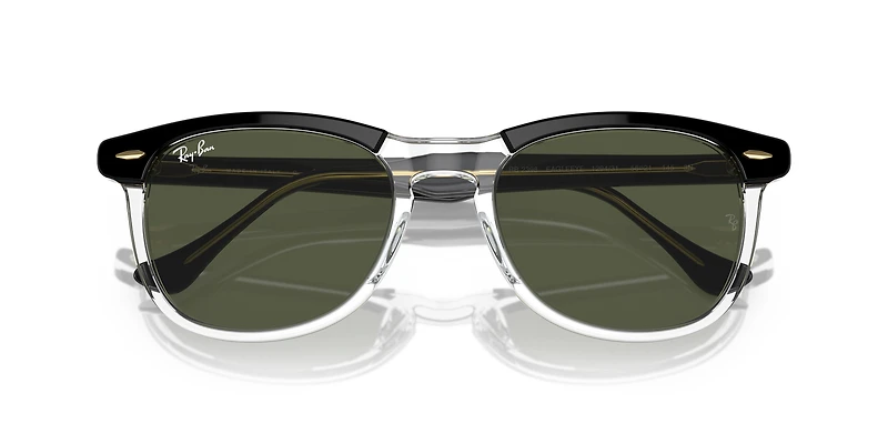 RB2398 Eagle Eye